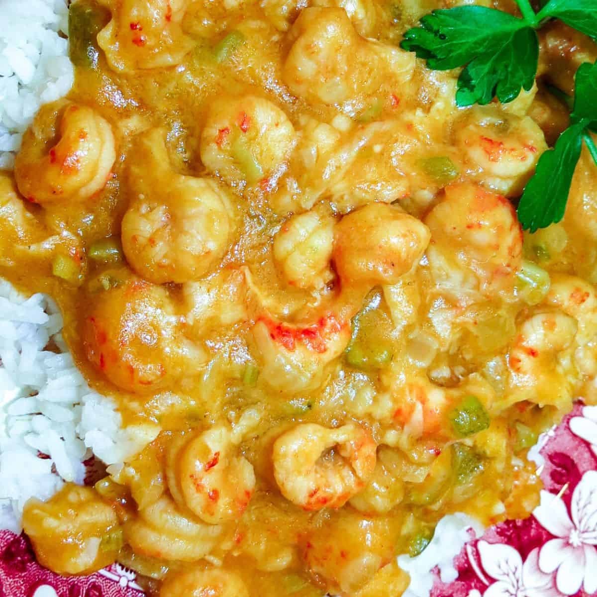 A serving of Crawfish Étouffée on white rice.