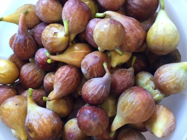 Bowl of fresh figs for fig cake.
