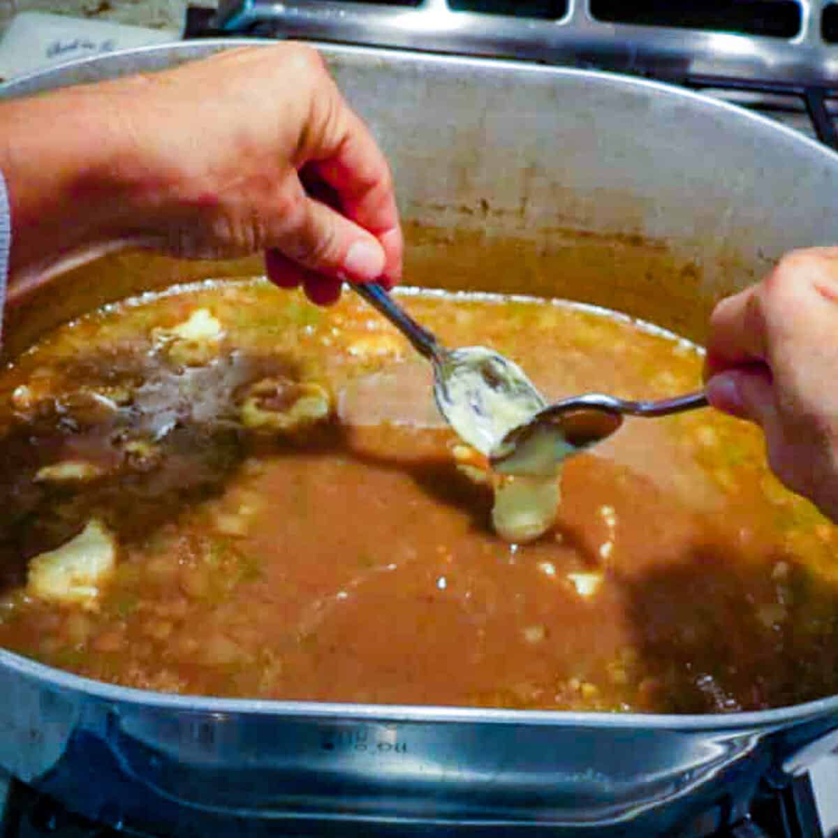 A person stirring dumplings in a pot of chicken fricassee on a stove.