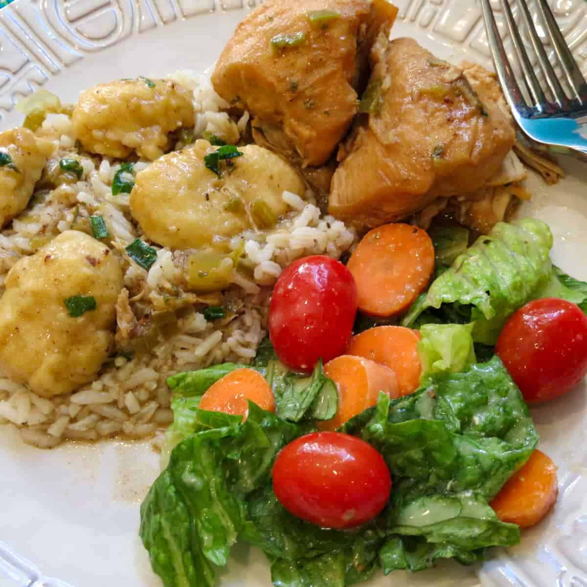 A plate with rice, gravy, chicken, dumplings, and salad.