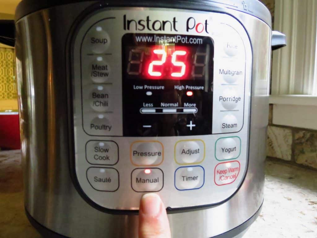 Instant Pot