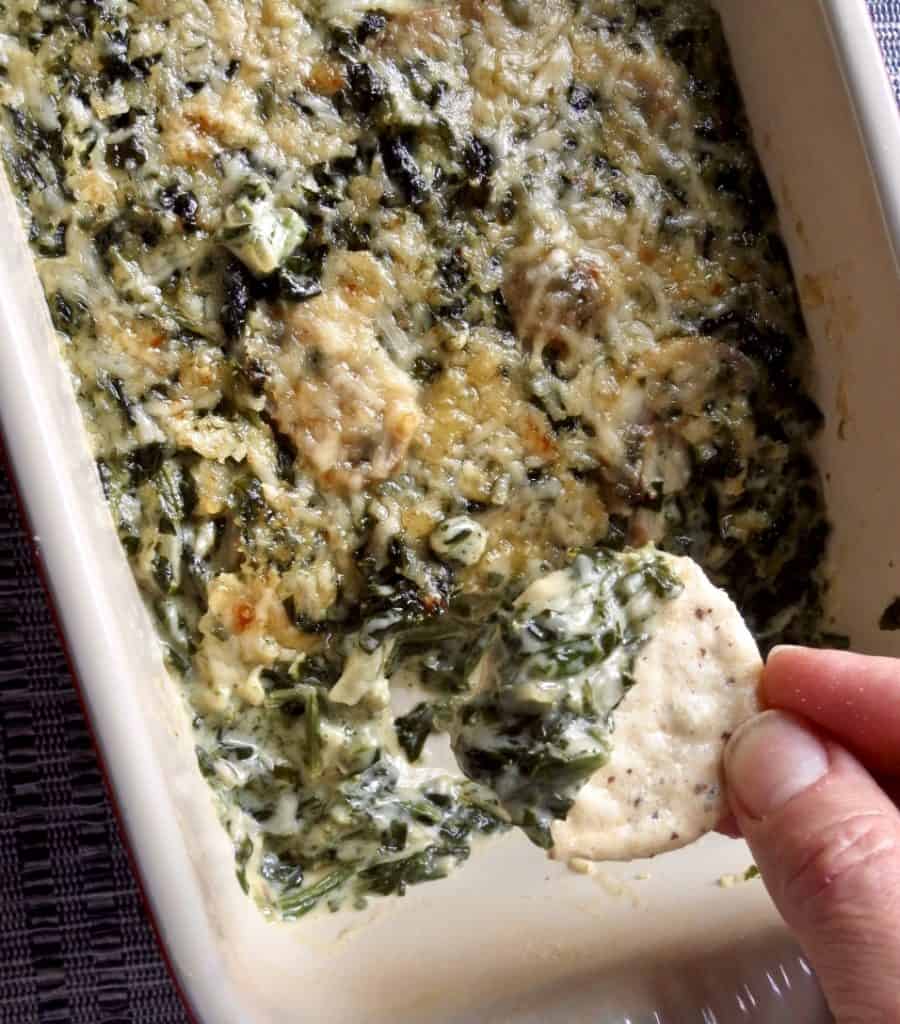 Cracker dipped into casserole dish of Creamed Spinach With Mushrooms.