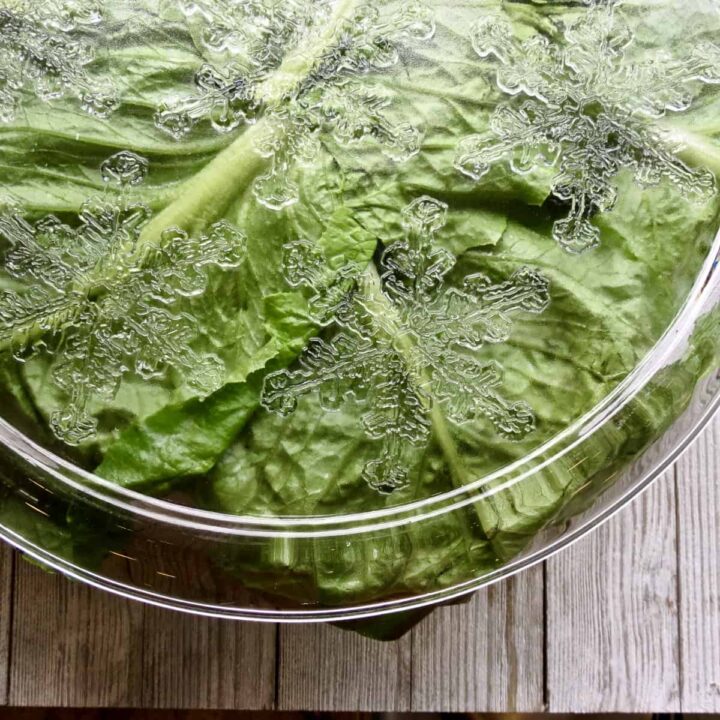 Placing a glass plate of lettuce leaves on top of molded Congealed Salad, Cherry Or Lime Flavored.