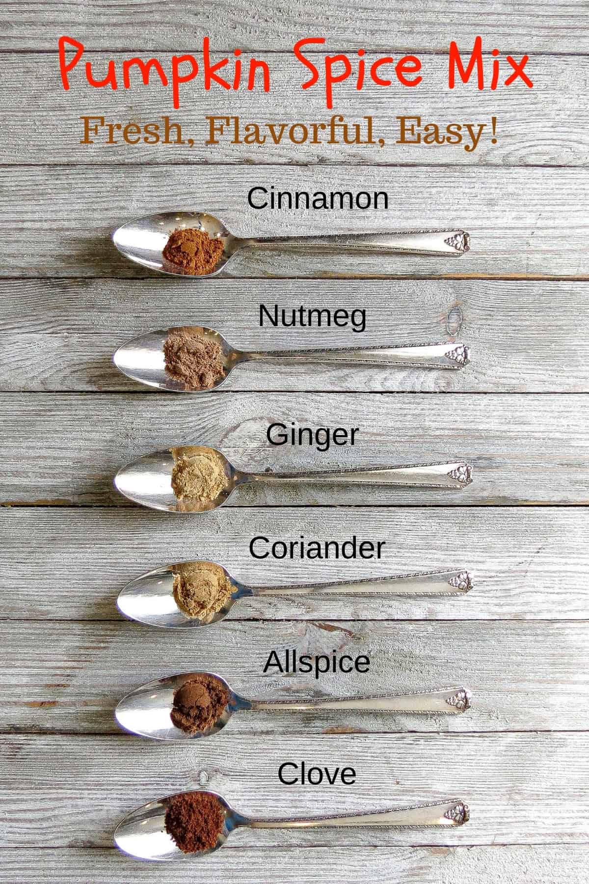 A vertical row of spoons full of a certain spice with a lable of the spice beside each spoon.