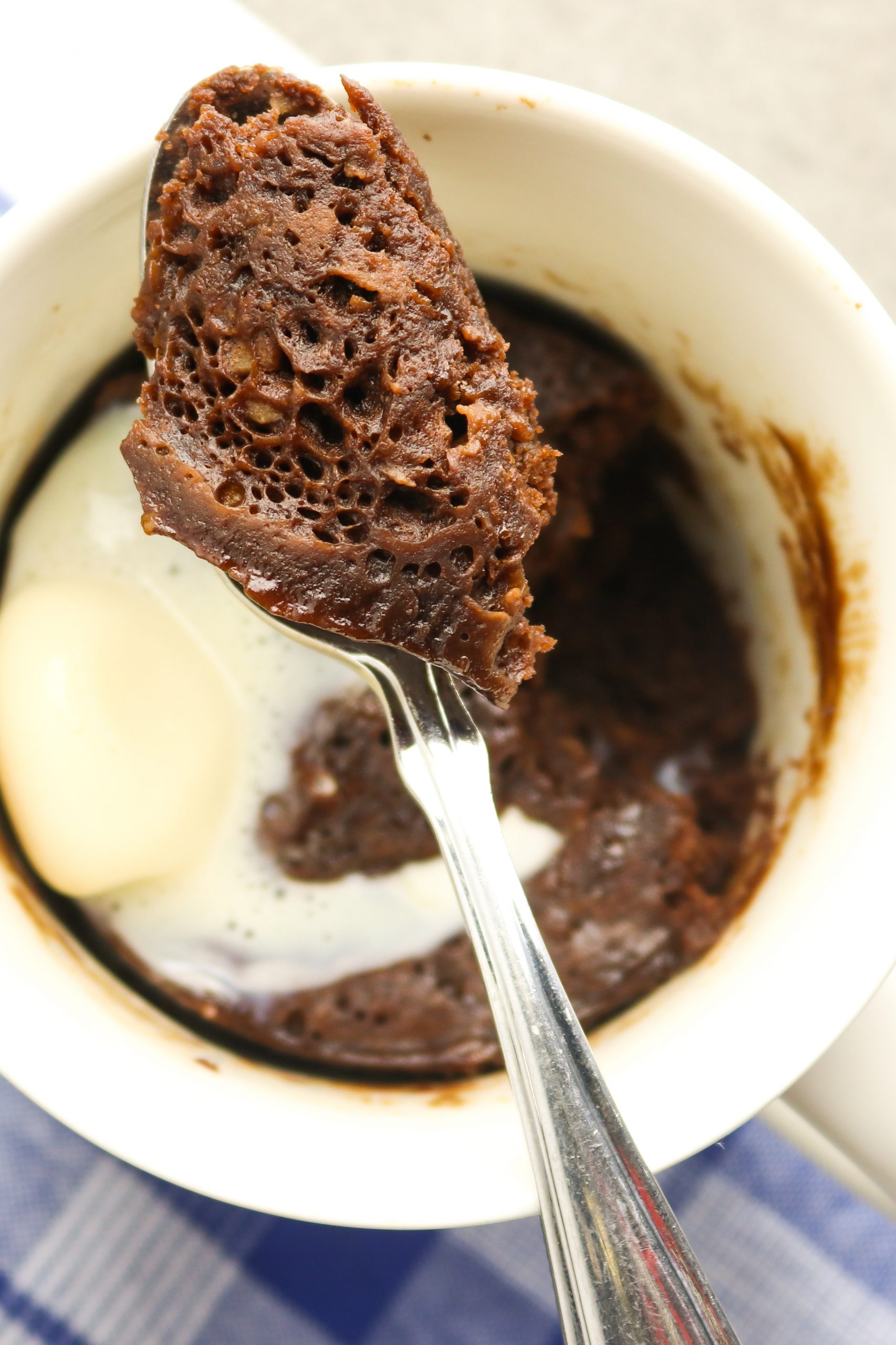 Fudgy Chocolate Mug Brownie • Louisiana Woman Blog
