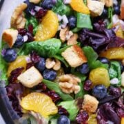 A closeup picture of aBlueberry-Mandarin Ranch Salad.