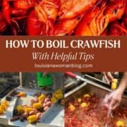 A collage of processed shots to how to boil crawfish.