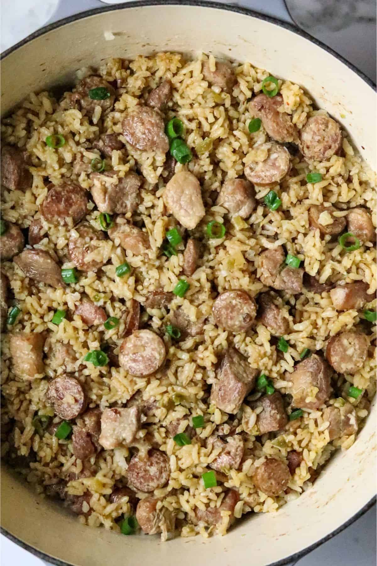 A pot of pork jambalaya garnished with green onion slices.