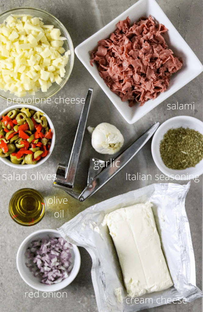 Ingredients to making a Muffuletta cheese ball.