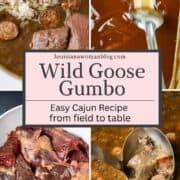 A collage of photos in the process of making a wild goose gumbo.