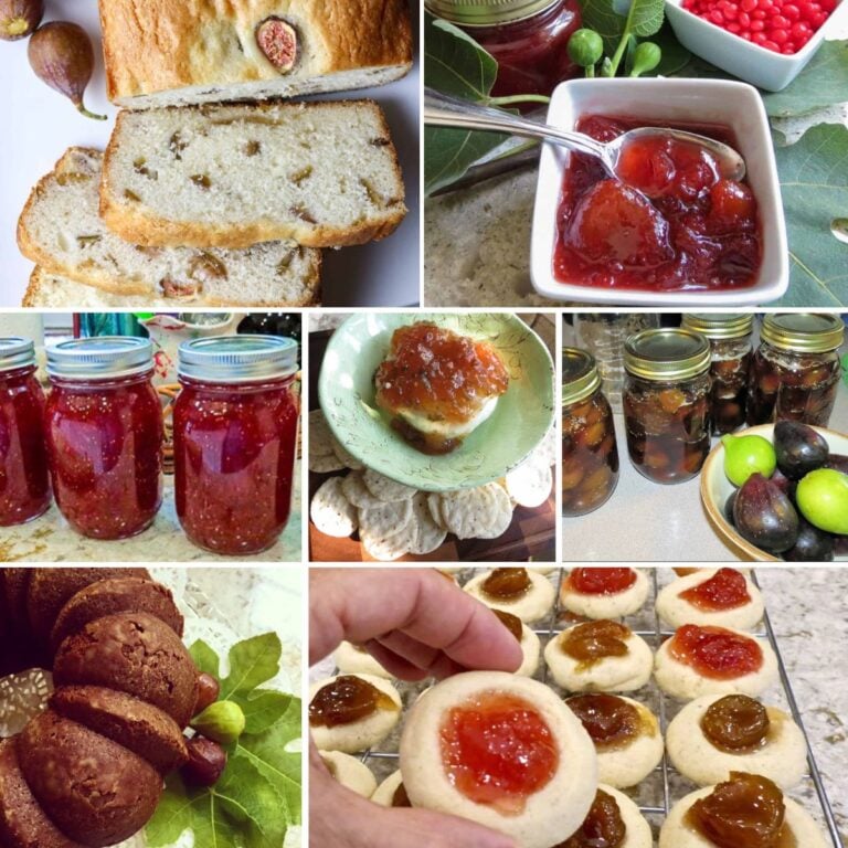 A picute collage of fig dishes and fig preserve jars.