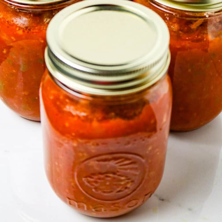Fresh Tomato Salsa Recipe: With Canning Instructions