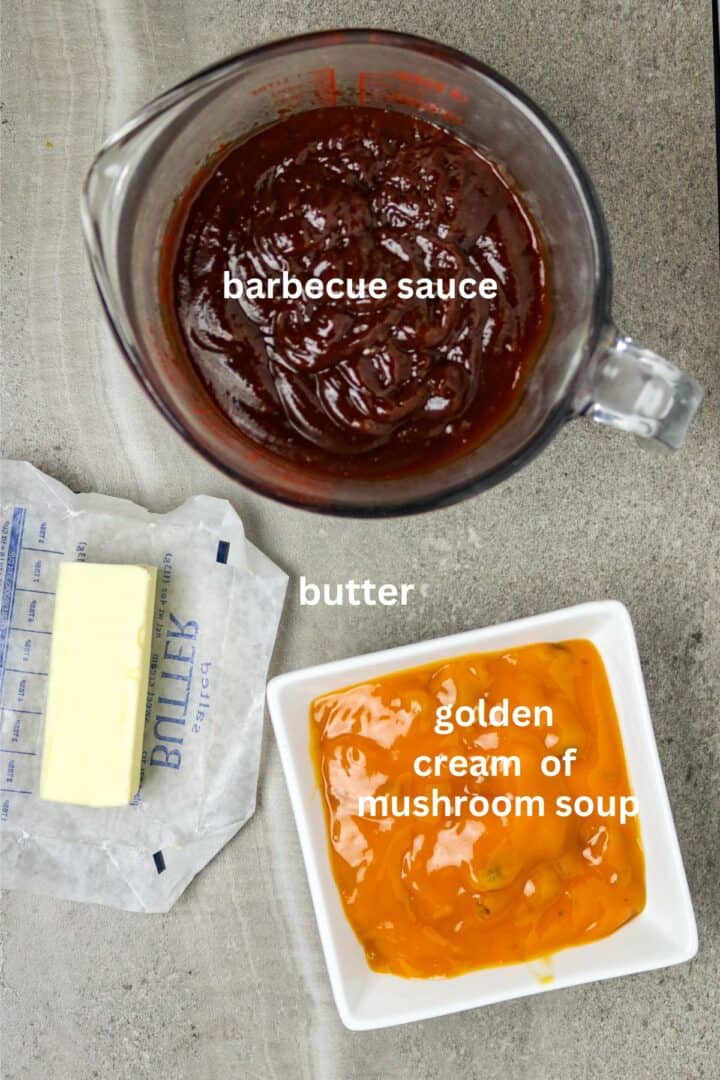 Individual ingredients of barbecue sauce, butter, and concentratede soup for sauce.