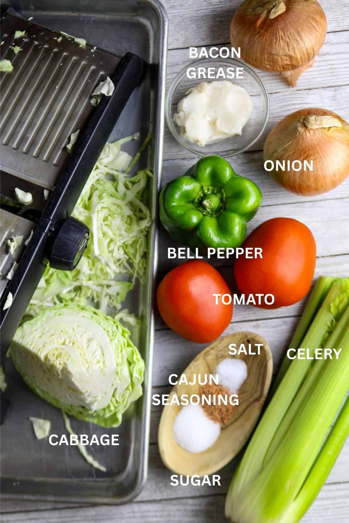 Separate ingredeints to smothered cabbage recipe with cabbage, seasonings, nions, celery, bell pepper, and tomatoes.