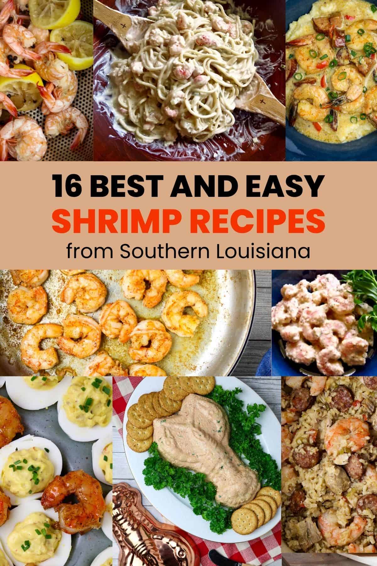 A collage of shrimp dishes with words about shrimp recipes.