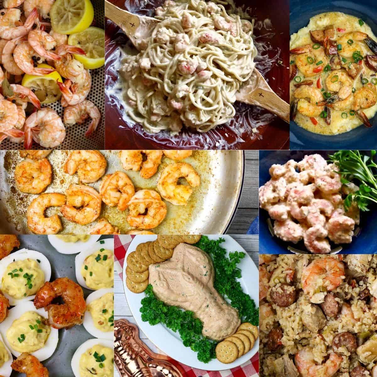 A collage of shrimp dishes.
