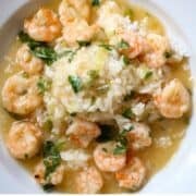 A white pasta bowl of shrimp etouffee on a mound of white rice.