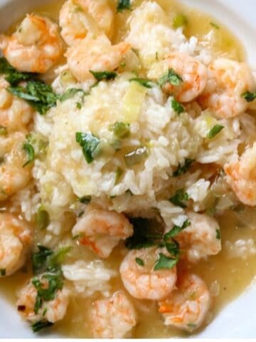A white pasta bowl of shrimp etouffee on a mound of white rice.