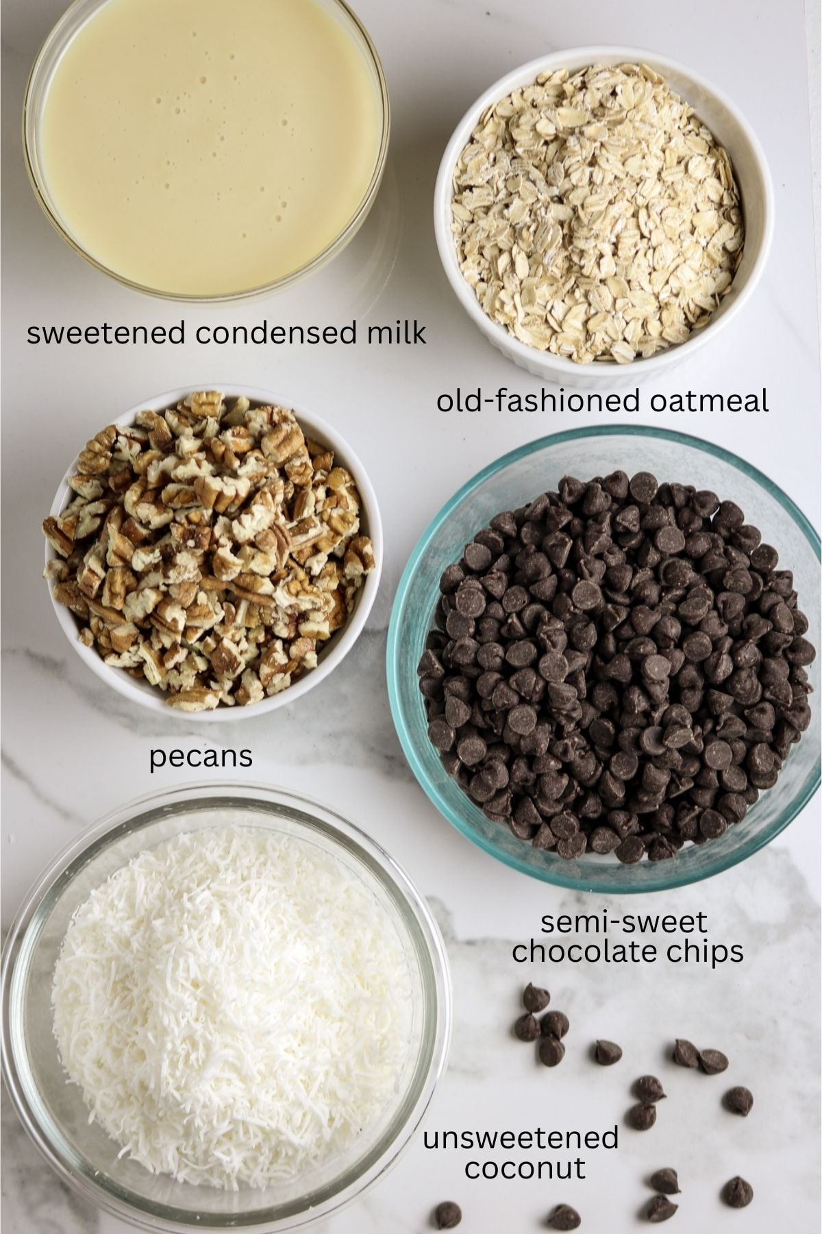 Five ingredients of sweetened condensed milk, oatmeal, pecans, coconut, and chocolate chips individually plated and named on a white countertop.