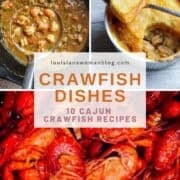 Photo Collage of 3 crawfish dishes for Pinterest.
